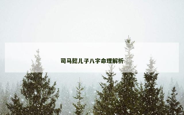 司马懿儿子八字命理解析