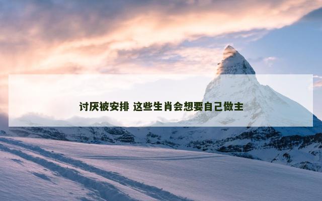 讨厌被安排 这些生肖会想要自己做主