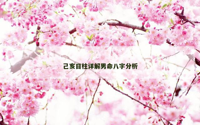 己亥日柱详解男命八字分析