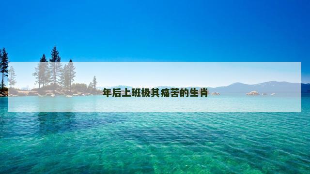 年后上班极其痛苦的生肖