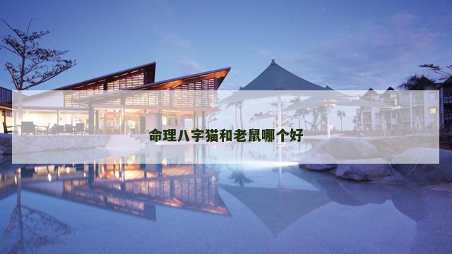 命理八字猫和老鼠哪个好