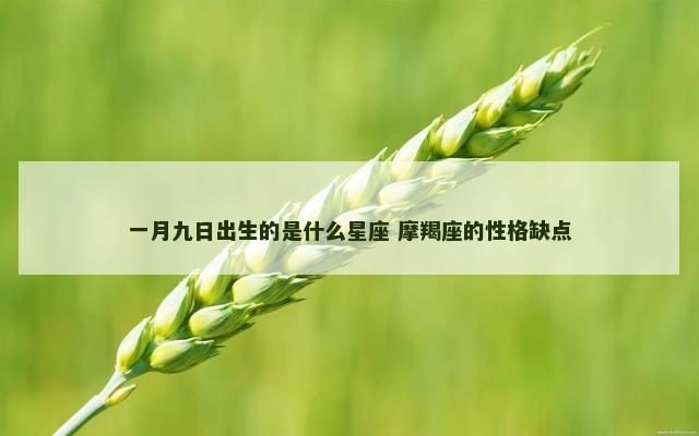一月九日出生的是什么星座 摩羯座的性格缺点