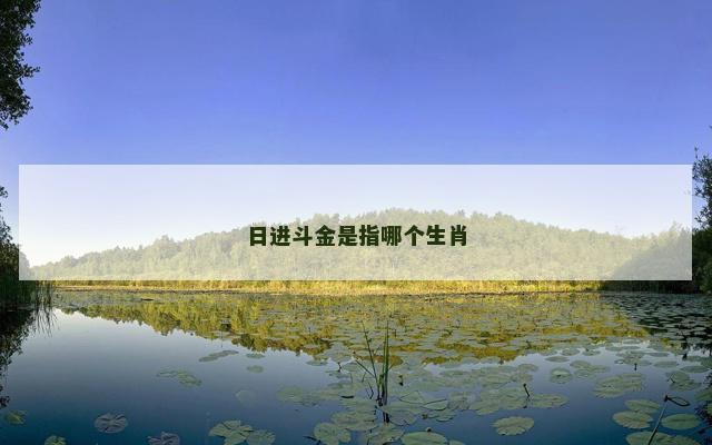 日进斗金是指哪个生肖