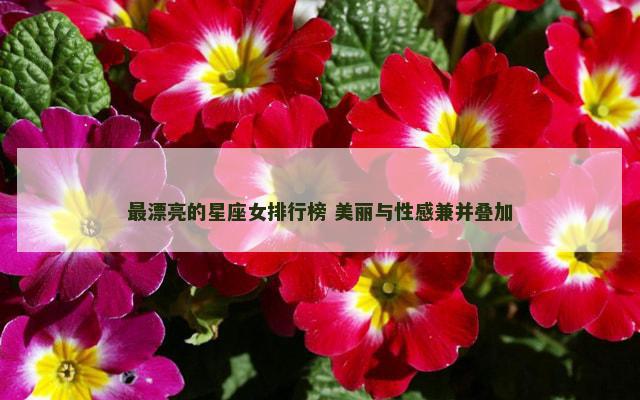 最漂亮的星座女排行榜 美丽与性感兼并叠加