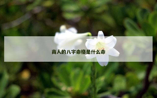 商人的八字命格是什么命