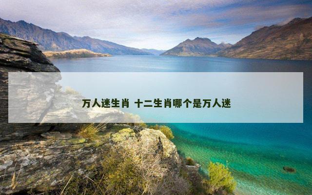 万人迷生肖 十二生肖哪个是万人迷