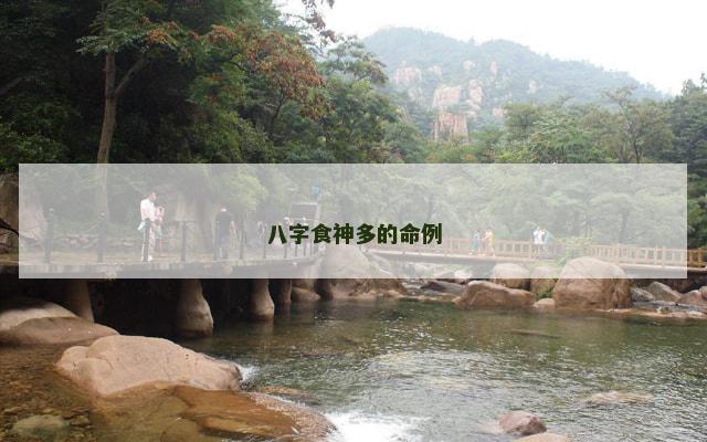 八字食神多的命例