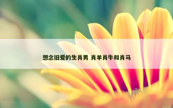 想念旧爱的生肖男 肖羊肖牛和肖马