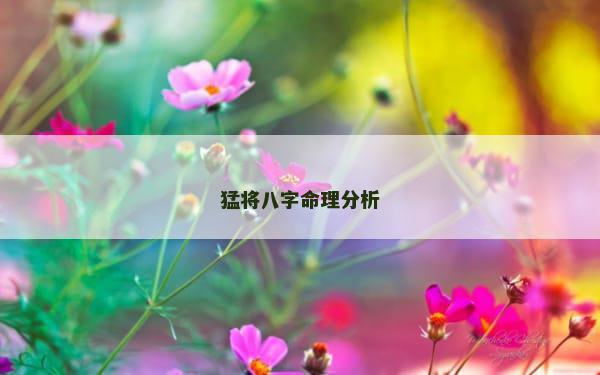 猛将八字命理分析