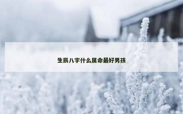 生辰八字什么属命最好男孩