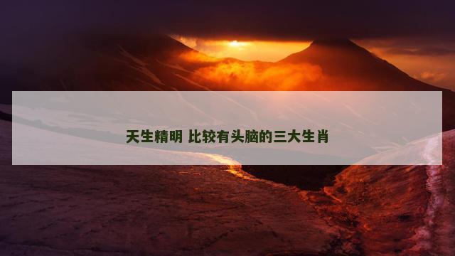 天生精明 比较有头脑的三大生肖