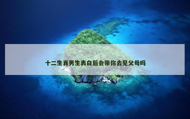 十二生肖男生表白后会带你去见父母吗