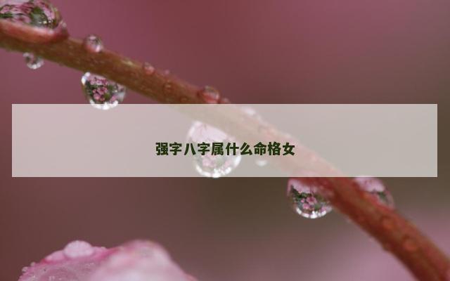 强字八字属什么命格女