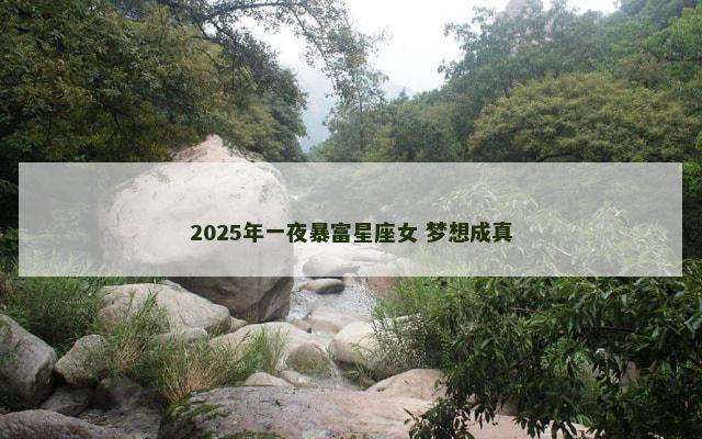 2025年一夜暴富星座女 梦想成真