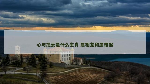 心与孤云是什么生肖 属相龙和属相猴