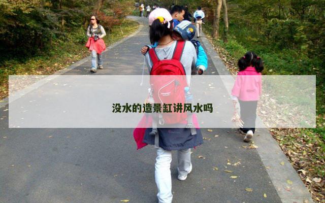 没水的造景缸讲风水吗