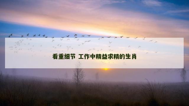 看重细节 工作中精益求精的生肖