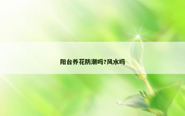 阳台养花防潮吗?风水吗