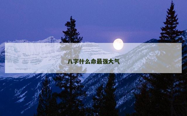 八字什么命最强大气