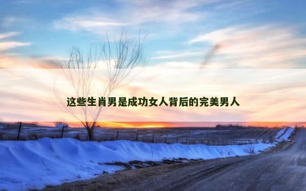 这些生肖男是成功女人背后的完美男人
