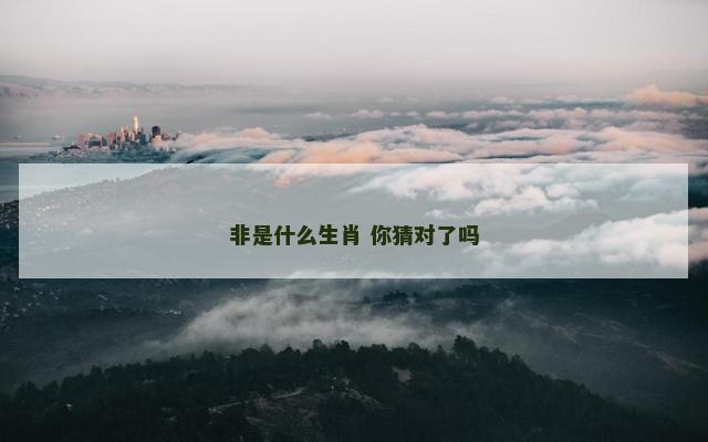非是什么生肖 你猜对了吗