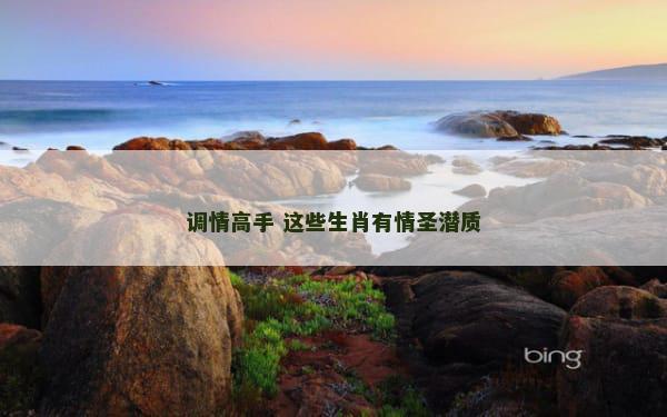 调情高手 这些生肖有情圣潜质