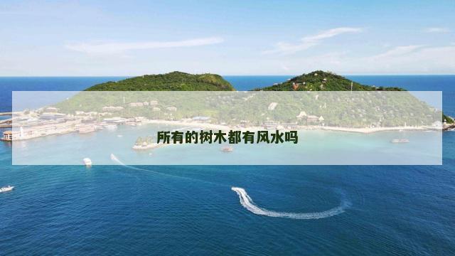 所有的树木都有风水吗