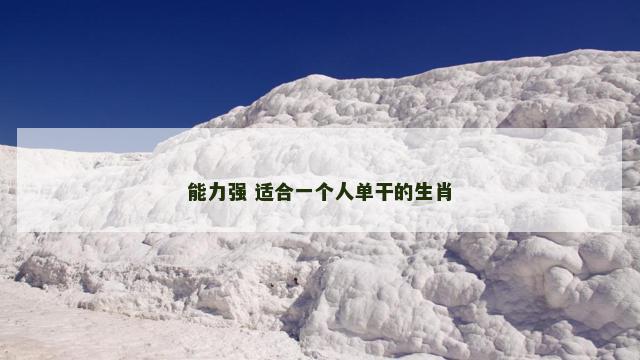 能力强 适合一个人单干的生肖