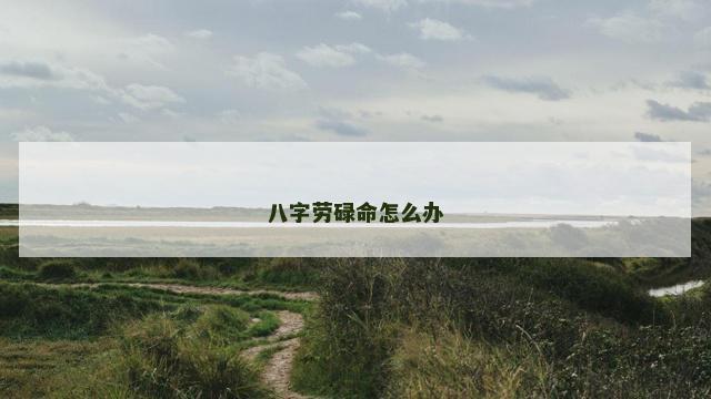 八字劳碌命怎么办