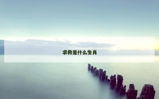 求救是什么生肖