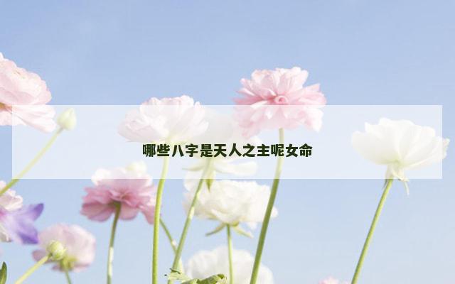 哪些八字是天人之主呢女命