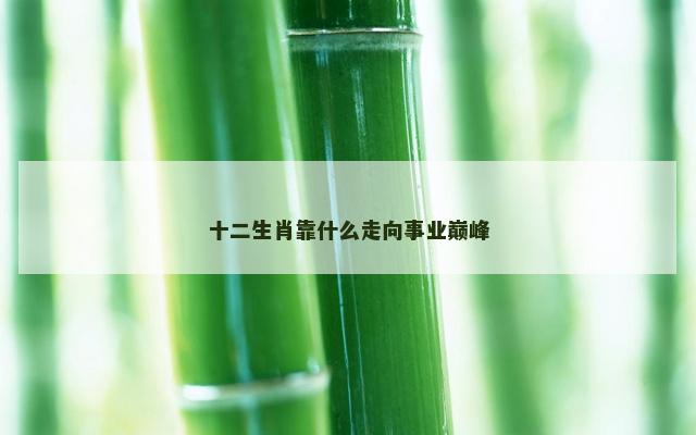 十二生肖靠什么走向事业巅峰