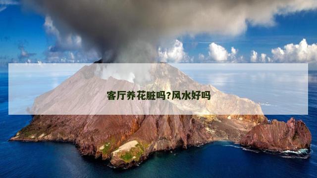 客厅养花脏吗?风水好吗