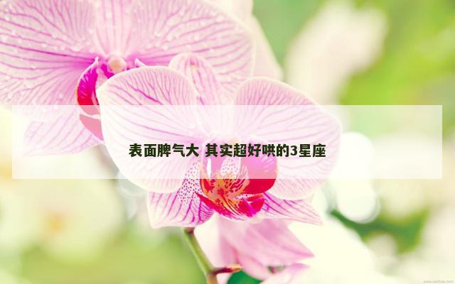 表面脾气大 其实超好哄的3星座