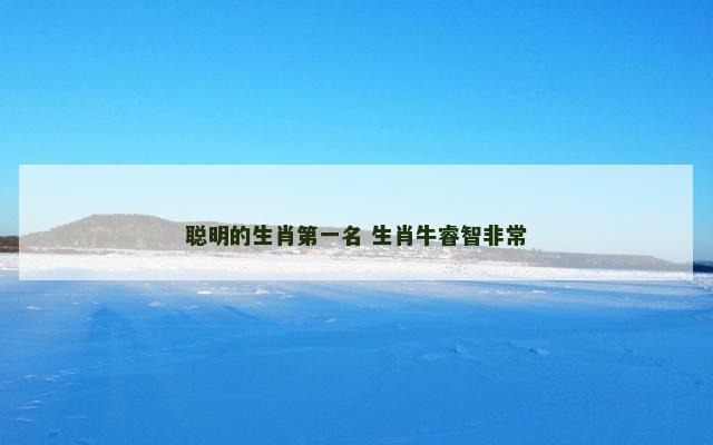 聪明的生肖第一名 生肖牛睿智非常