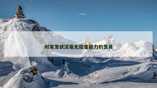 对突发状况毫无应变能力的生肖