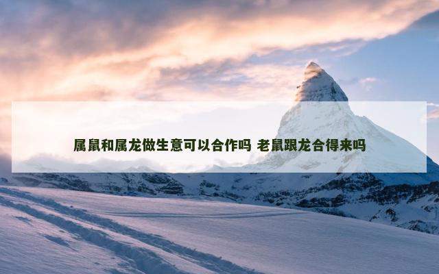 属鼠和属龙做生意可以合作吗 老鼠跟龙合得来吗