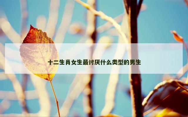 十二生肖女生最讨厌什么类型的男生