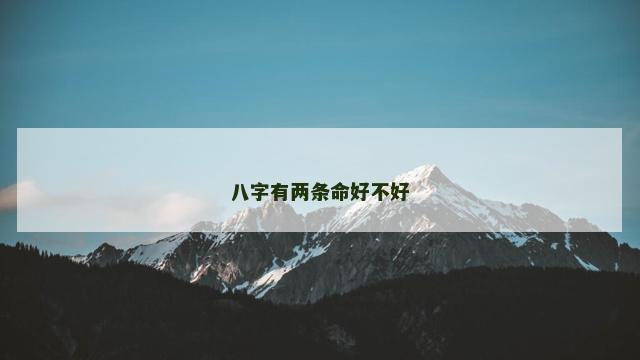 八字有两条命好不好