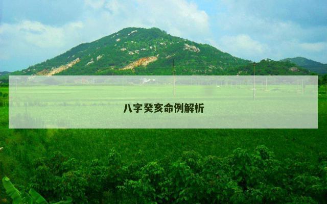 八字癸亥命例解析