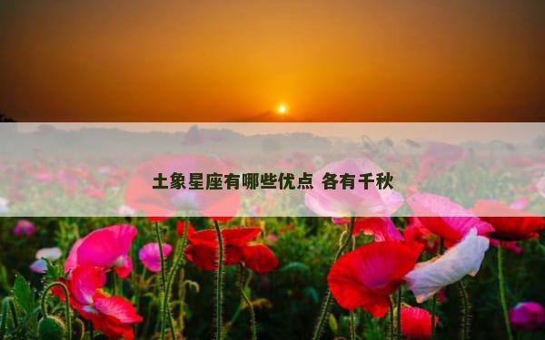 土象星座有哪些优点 各有千秋