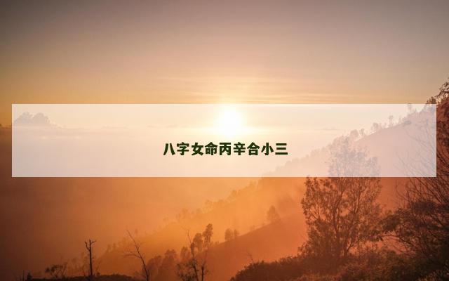 八字女命丙辛合小三