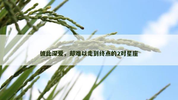 彼此深爱，却难以走到终点的2对星座