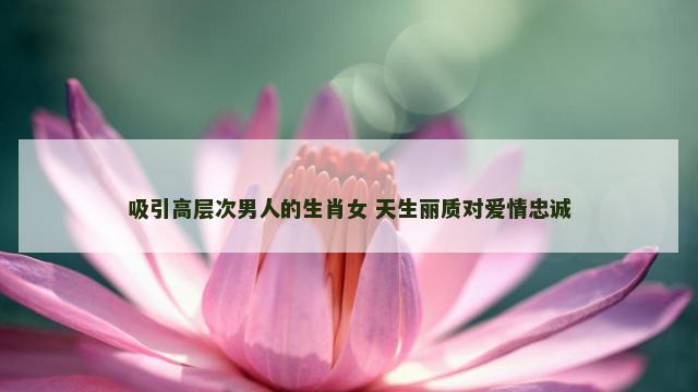 吸引高层次男人的生肖女 天生丽质对爱情忠诚