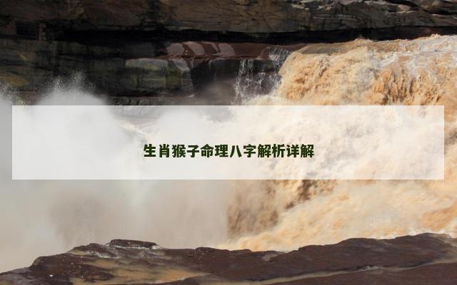 生肖猴子命理八字解析详解