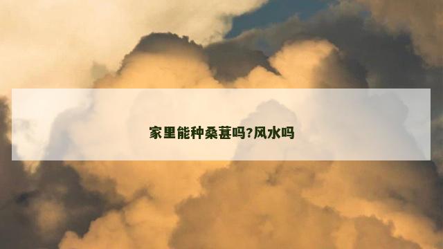 家里能种桑葚吗?风水吗