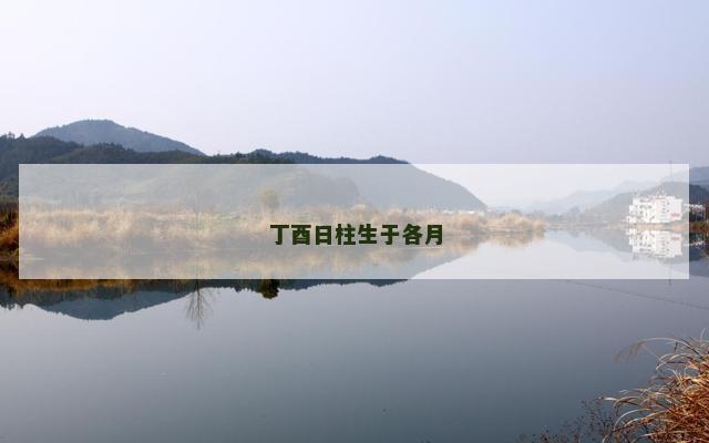 丁酉日柱生于各月