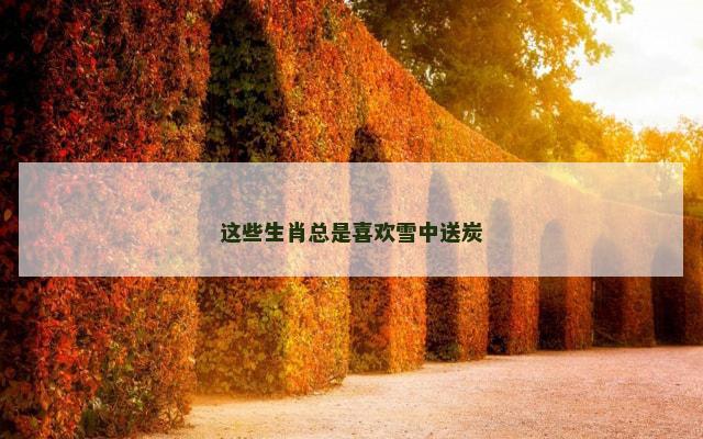 这些生肖总是喜欢雪中送炭