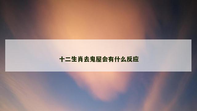 十二生肖去鬼屋会有什么反应