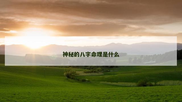 神秘的八字命理是什么